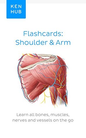 Full Download Flashcards: Shoulder & Arm: Learn all bones, muscles, nerves and vessels on the go (Flashcard ebooks from Kenhub) - João Costa | ePub