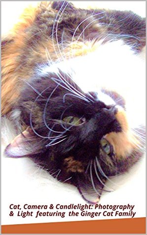 Read Cat, Camera & Candlelight: Photography & Light Featuring the Ginger Cat Family - Pamela Jean Curry file in ePub