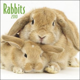 Full Download Rabbits 2010 Square Wall (Multilingual Edition) -  file in ePub