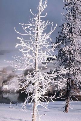 Download Journal Snow Covered Tree: (Notebook, Diary, Blank Book) -  file in ePub