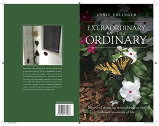 Read Online Extraordinary in the Ordinary: How God shows up miraculously in the ordinary moments of life. - Lanie Ehlinger file in PDF