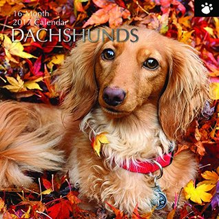 Download Dog Breeds - Dachshunds 2017 Monthly Wall Calendar, 12 x 12 -  | PDF