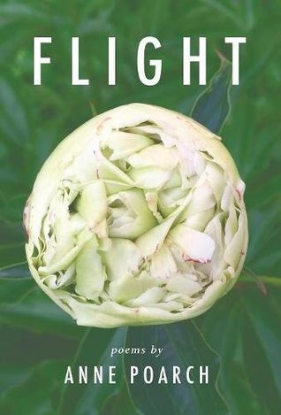 Read Online Flight: Of Butterflies and Robins and Other Winged Dreams - Anne Poarch | PDF