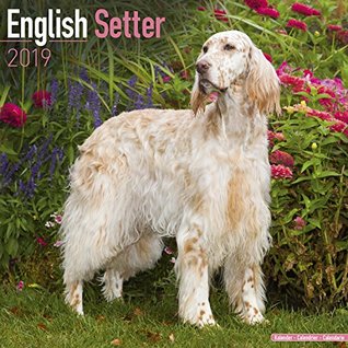 Read Online English Setter Calendar - Dog Breed Calendars - 2018 - 2019 Wall Calendars - 16 Month by Avonside -  file in ePub