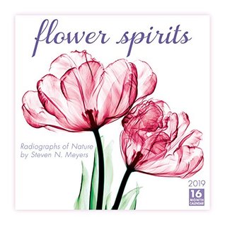 Full Download 2019 Flower Spirits Radiographs of Nature by Steven N. Meyers 16-Month Wall Calendar: By Sellers Publishing - Steven N. Meyers | ePub