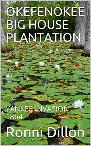 Download OKEFENOKEE BIG HOUSE PLANTATION: YANKEE INVASION 1864 (Okefenokee Big House Plantation Series) - Ronni Dillon file in ePub