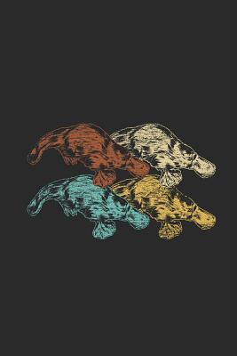 Download Colorful Platypus Retro: Platypuses Notebook, Blank Lined (6 x 9 - 120 pages) Animal Themed Notebook for Daily Journal, Diary, and Gift - Platypus Publishing | ePub