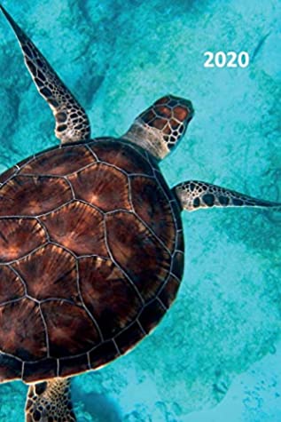 Full Download 2020: Leatherback Sea Turtle Habitat Colorful Planner Calendar Organizer Daily Weekly Monthly Student for Marine Sealife Fans - Molly Elodie Rose file in ePub