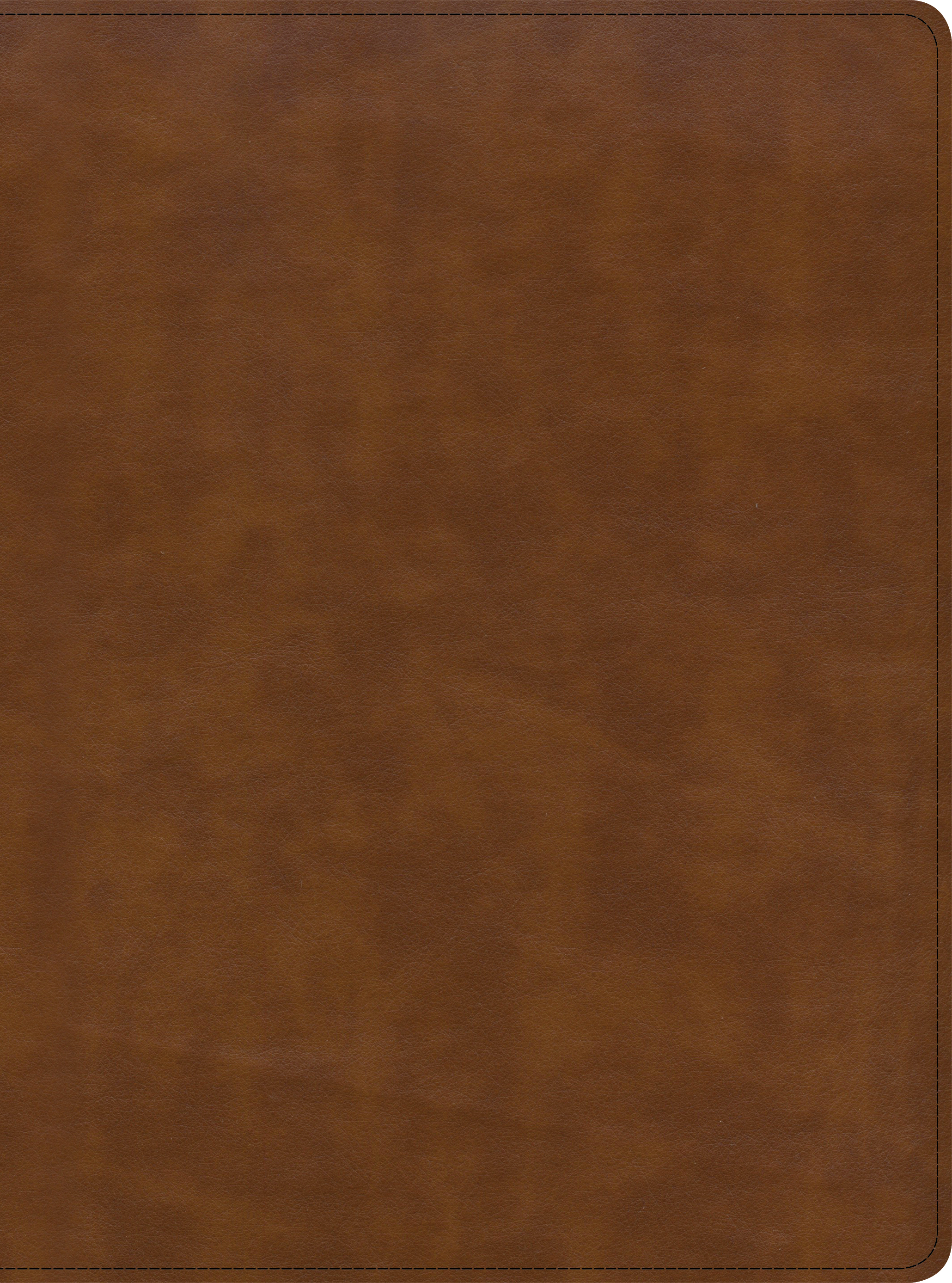 Download CSB Holy Land Illustrated Bible, British Tan LeatherTouch: A Visual Exploration of the People, Places, and Things of Scripture - CSB Bibles by Holman | ePub